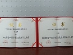 中国行业信息化颁奖盛典长城电脑获双奖