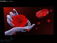 松下在IFA2012展出103寸裸眼3D电视面板