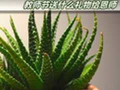 教师节礼送新风尚，文化礼品得“师”心