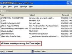    梭子鱼助您抵御“网银大盗”   