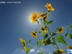 摄影达人攒机记