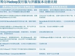 大数据来袭 传统IT厂商紧握Hadoop机遇