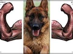 拼图不如拼创意 好照片给生活加点儿料