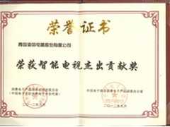 海信荣获中国智能电视杰出贡献奖 