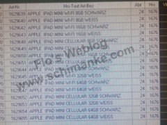 iPad mini售价曝光 249欧元起步有4G版
