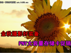 金秋摄影好装备  PNY大容量存储卡促销