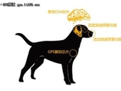 征途电子狗 电子马行业的一匹黑狗