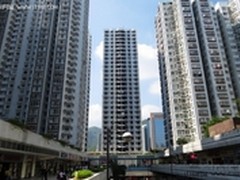 小DC 大神器佳能 SX50 HS深秋香港街拍