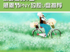 最舒适的U盘 感恩节PNY矽胶U盘推荐