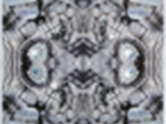 Sello亚马逊系列 iPhone5外壳到货热销