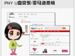 筹谋网销市场 PNY U盘京东/亚马逊热销