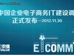 中国企业电子商务IT建设报告今日发布