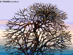 GALAXY Note 10.1成艺术家最爱  