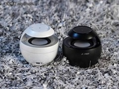 优雅天鹅引颈高歌奋达天鹅全网独家发售