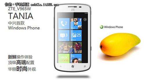 ��ֵWP�����ֻ� ����V965W�����۽�599