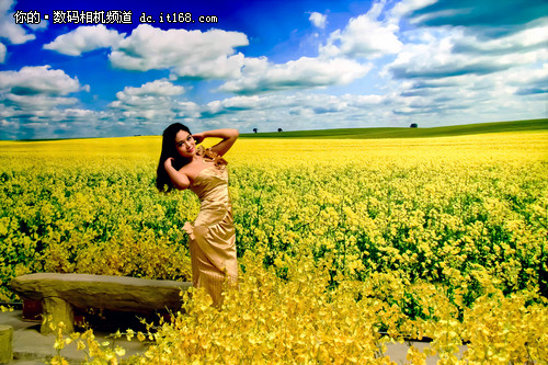 ῵2012ȫ֣վ——ģ