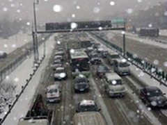 元旦三天乐 与巴法络LS-VL共享娱乐狂欢