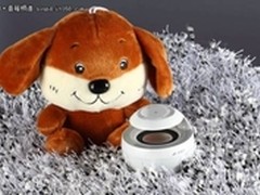 生活 需要一种态度 奋达天鹅的卧室生活