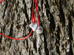 High歌的动感 贝尔塔铃铛E100耳机试听