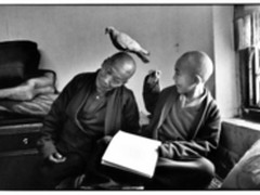 体验极速快感 东芝EXCERIA 1型SD卡试用