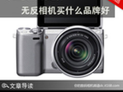 专业便携成趋势 无反相机买什么品牌好