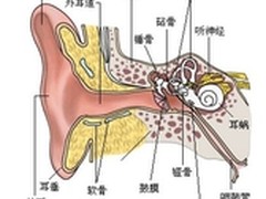  3月3日爱耳日 幽炫降噪耳机保护听力
