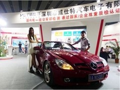 深圳威仕特电子狗 因为专业所以卓越！