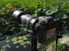 [重庆]双卡槽强劲单反 尼康D300S仅7999