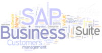 透过2013企业IT趋势 看SAP实时产品策略