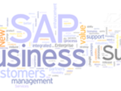 透过2013企业IT趋势 看SAP实时产品策略