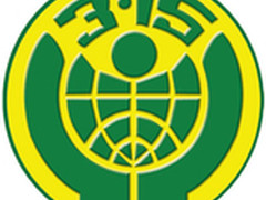 维权要靠火眼金金 3.15细看DIY市场变化