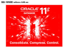 功能强大 Oracle 11g 企业版售156009元