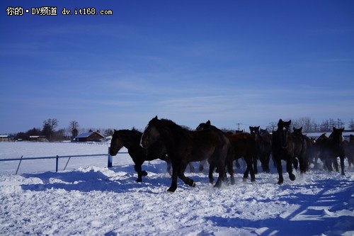 索尼PJ660E实拍北海道冬季冰雪之美