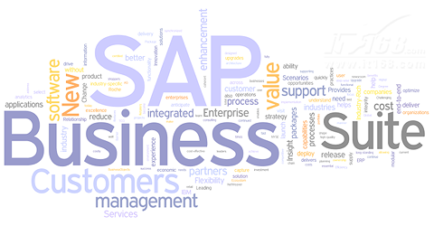 SAP全线产品打造实时企业-实时企业管理