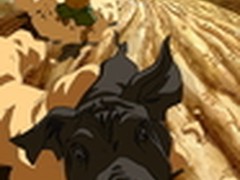 更精良 土豆映像节作品征集突破18000部