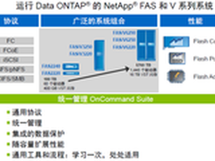 集群技术+闪存 NetApp应对存储挑战之道