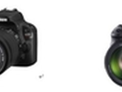 佳能可换镜数码相机连续10年占有率第一