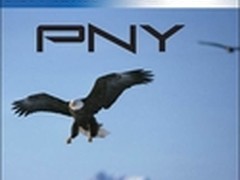 丰富各类产品线 国际品牌PNY强势进军