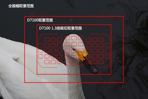 操作舒适画质优异 尼康D7100试用体验