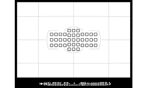 领略尼康全幅单反魅力 尼康D600试用记