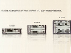 华为园区添利器 NE20E-S承接高端特点