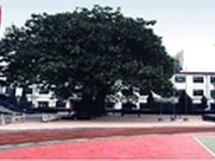 创新同行以信息化手段打造优质课堂