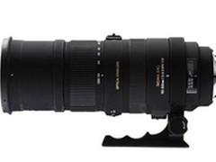 平民打鸟神器 适马APO 150-500mm报5300