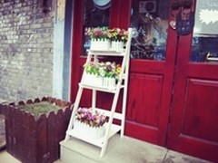 世间万物皆美好，致青春里的每一次相遇