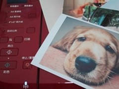 用心创造、分享和记录孩子成长的乐趣