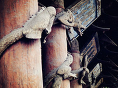 品味历史的沉淀 佳能G15样张赏析