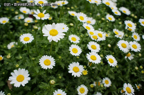 最薄的E口镜头 索尼20mm F2.8深度评测