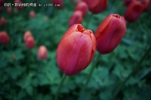 最薄的E口镜头 索尼20mm F2.8深度评测