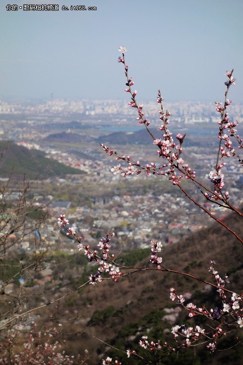 第二天：人间四月芳菲尽