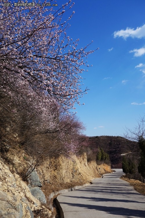 第二天：人间四月芳菲尽